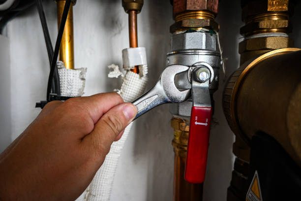 Best Same-Day Plumbing Service  in Romoland, CA